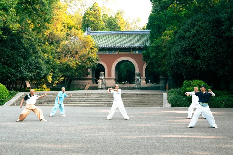 清晨公園裡，幾個人在樹下打太極拳